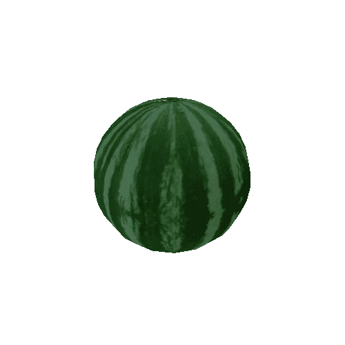 watermelon (parts)